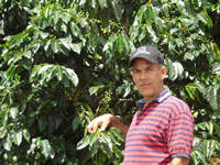 �_����̃A���t���b�h��