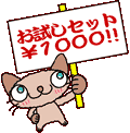 �������Z�b�g\1000