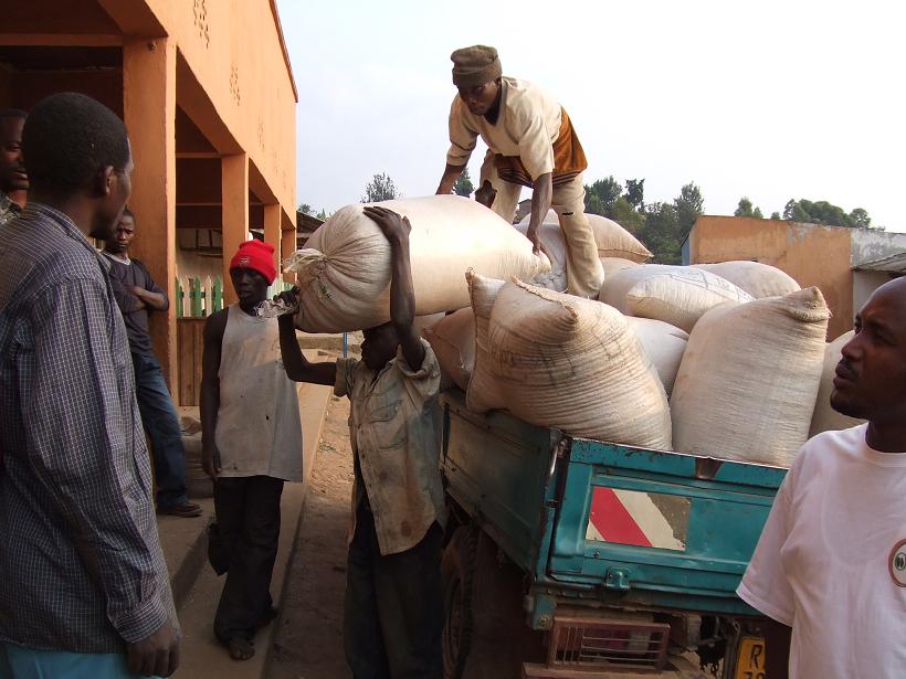 �R�[�q�[���W�Ϗ�̐l�X